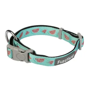 FuzzYard Dog Collar Summer Punch Medium***