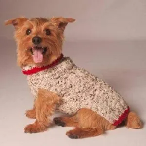 Oatmeal w/Red Trim Cable Knit Sweater