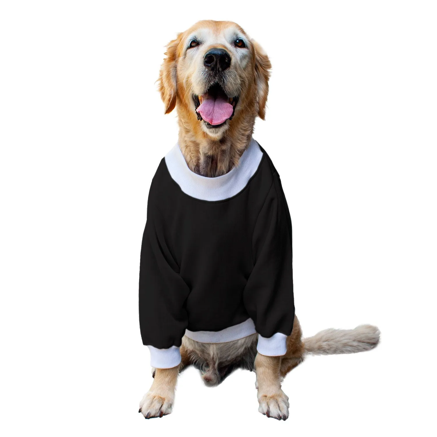 Ruse 'Basics' "Dogzilla" Printed Crew Neck Full Sleeve Sweatshirt For Dogs