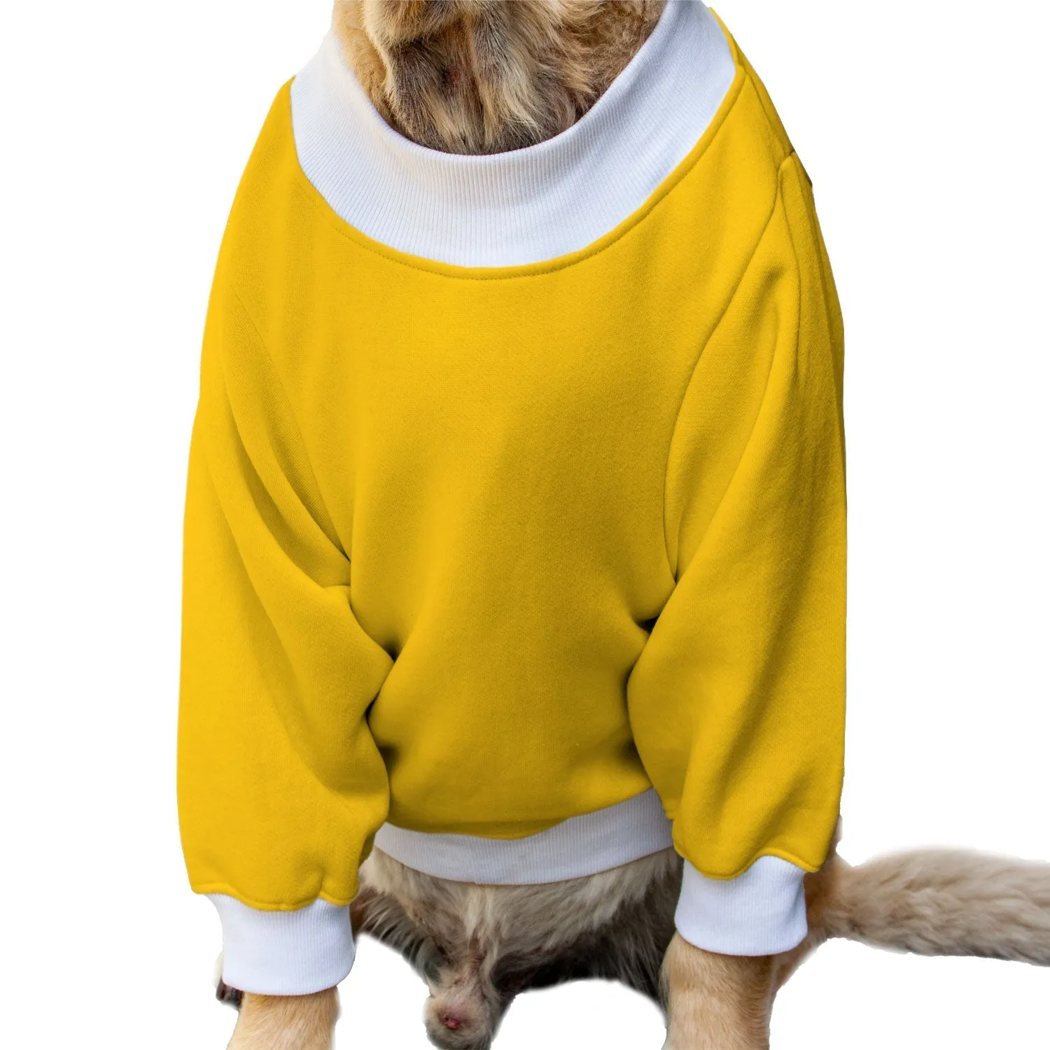 Ruse 'Basics' "Dogzilla" Printed Crew Neck Full Sleeve Sweatshirt For Dogs