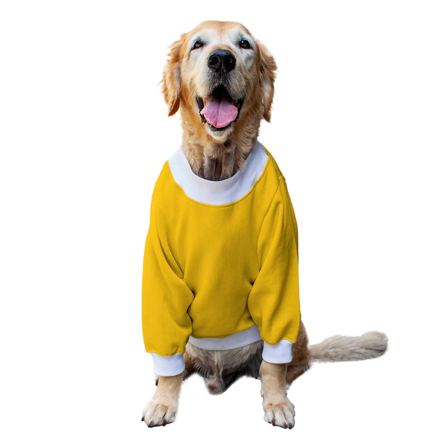 Ruse 'Basics' "Dogzilla" Printed Crew Neck Full Sleeve Sweatshirt For Dogs